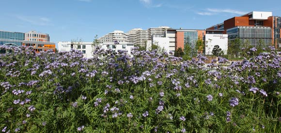 engagement environnemental