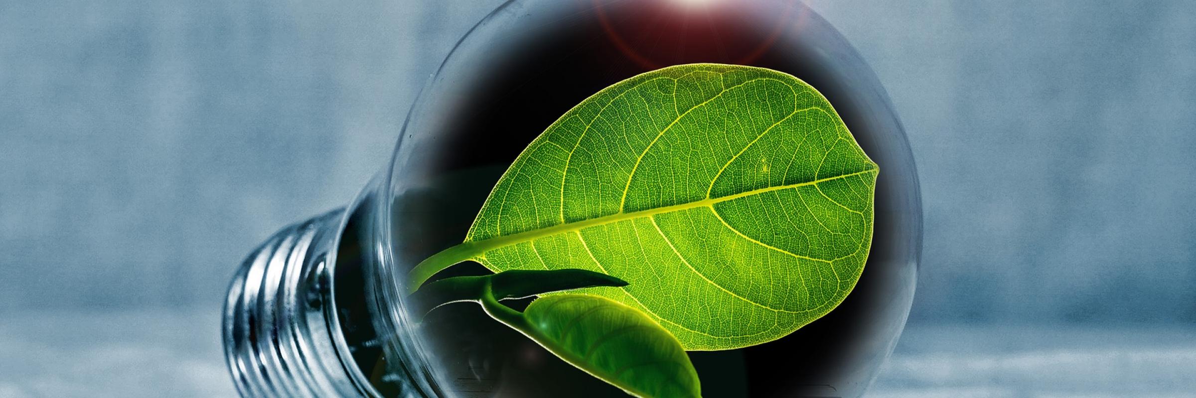 environnementale